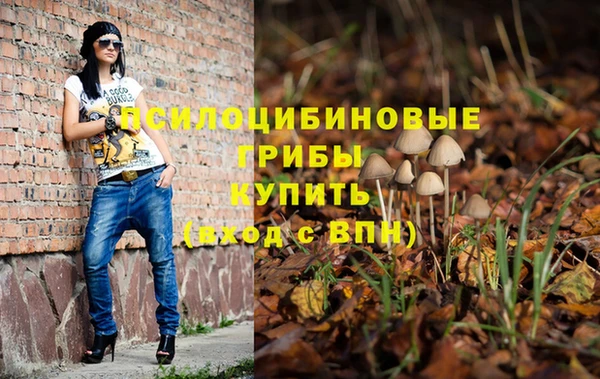 мескалин Арсеньев
